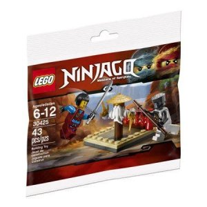 LEGO Ninjago Cru Masters Training 30425